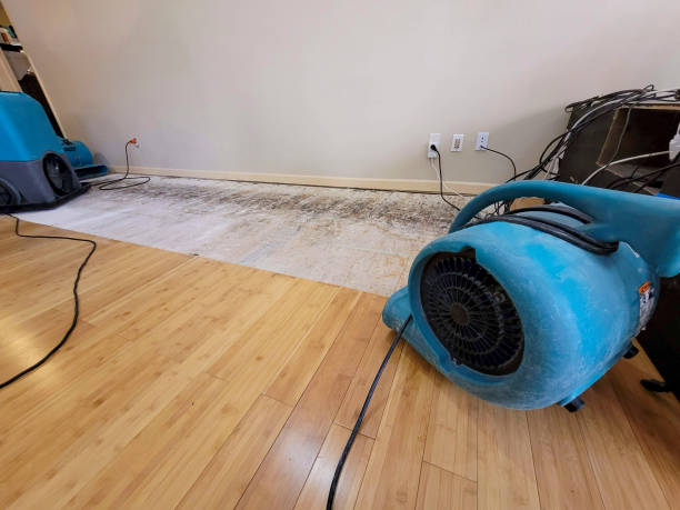 Professional Structural Drying technician working in Newton, UT